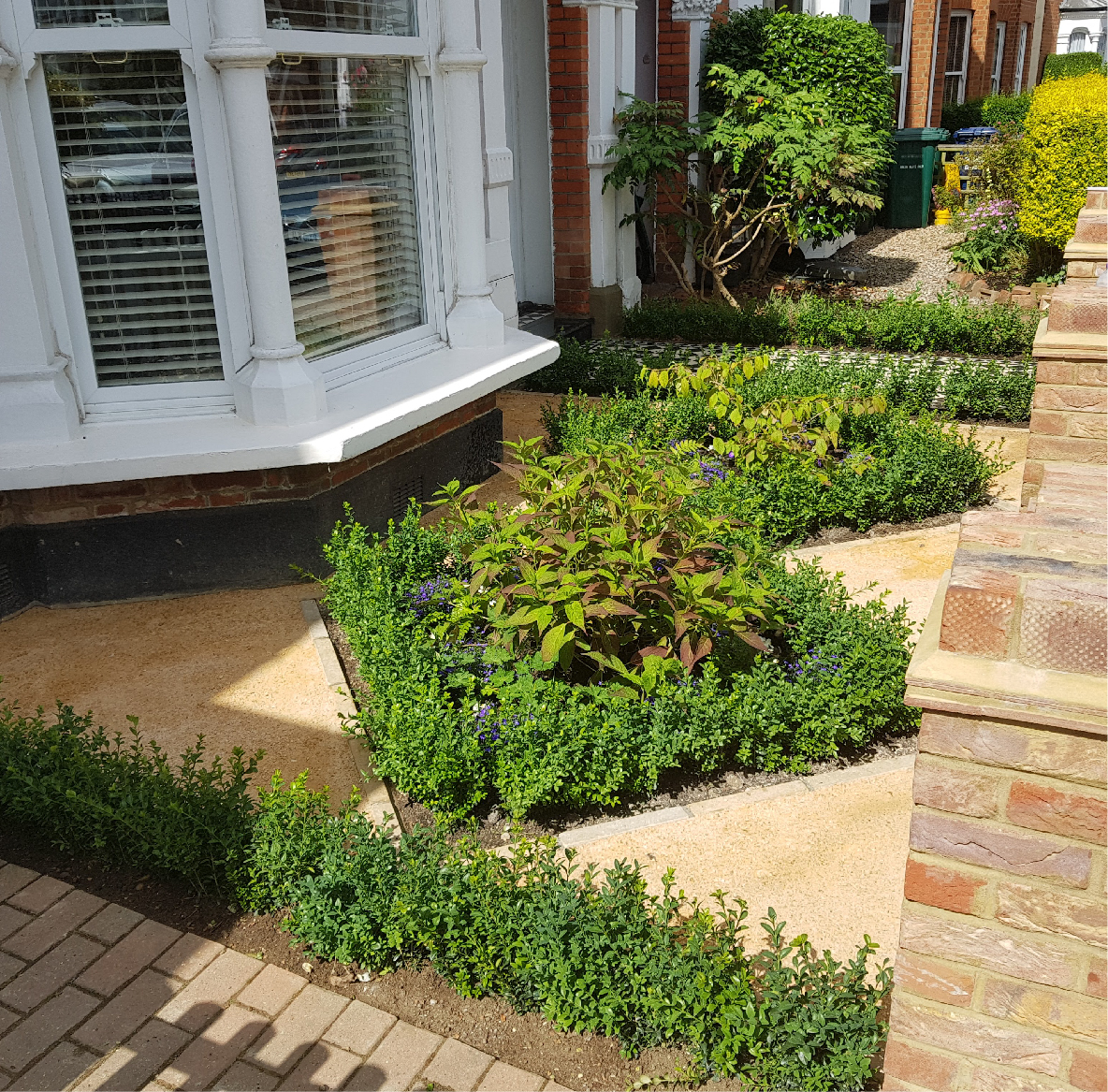 Professional landscaping expertise showcasing beautiful garden transformation and outdoor design mastery
